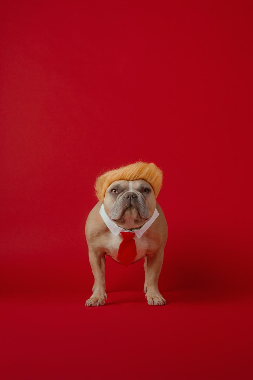 Trump en migratie: wanneer ben je een migrant in Amerika?